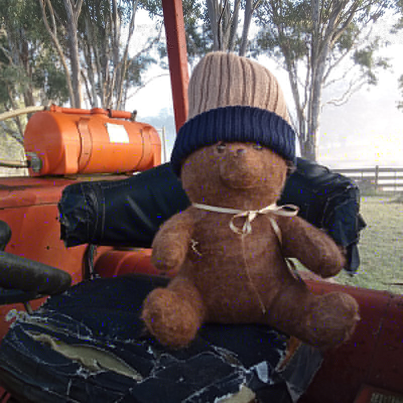 Beanies - reversible