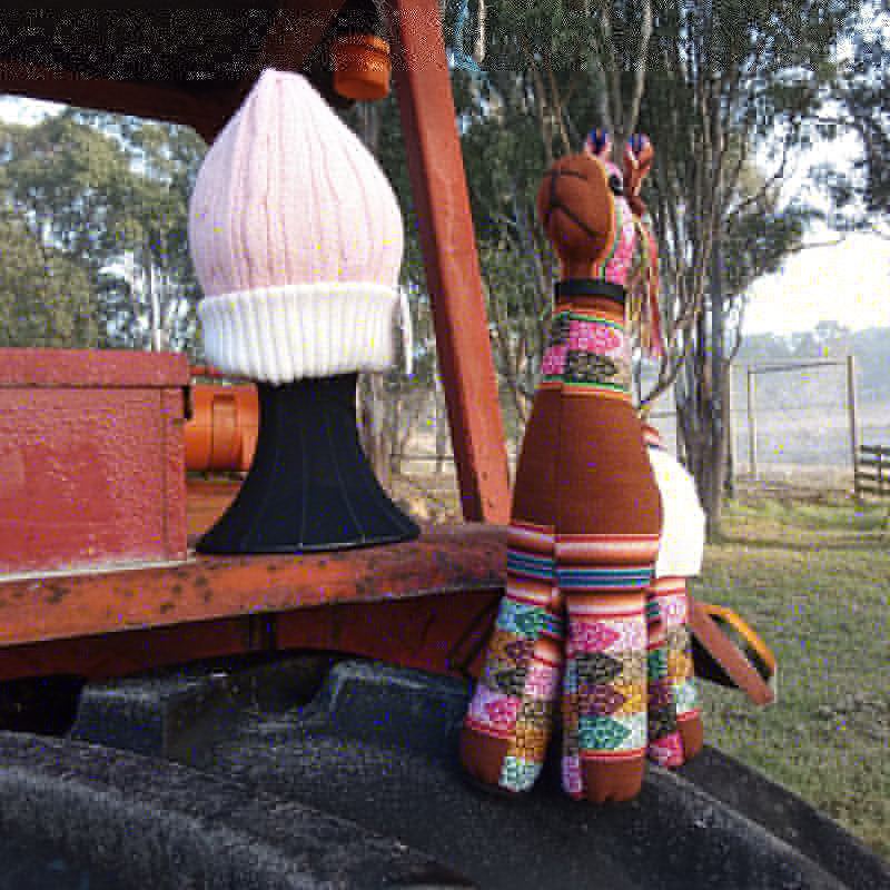 Beanies - reversible