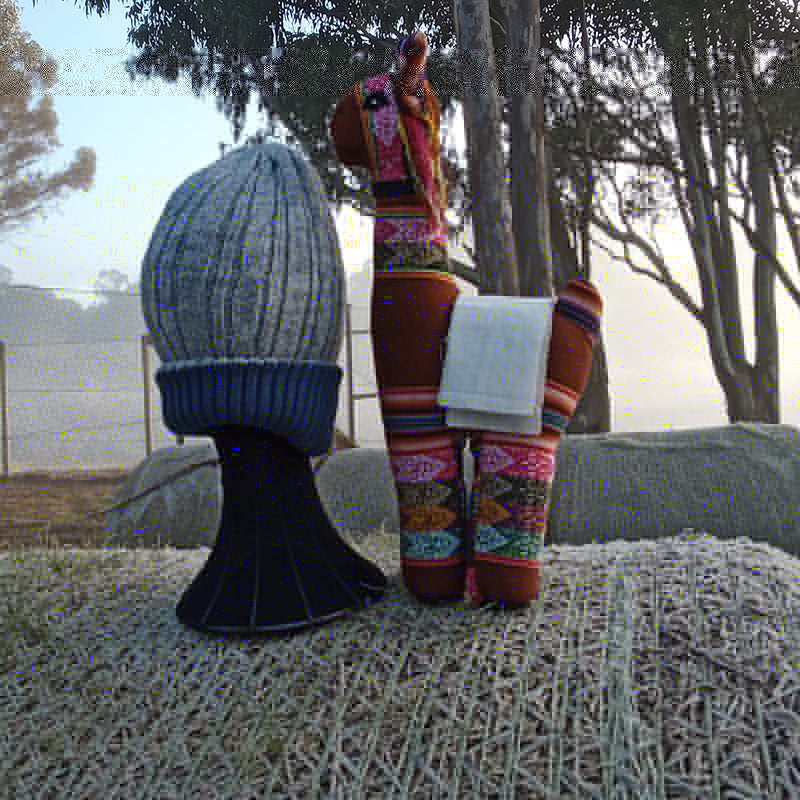 Beanies - reversible